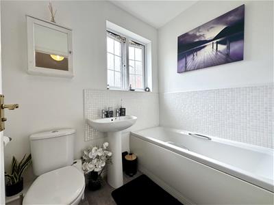 Picture 21